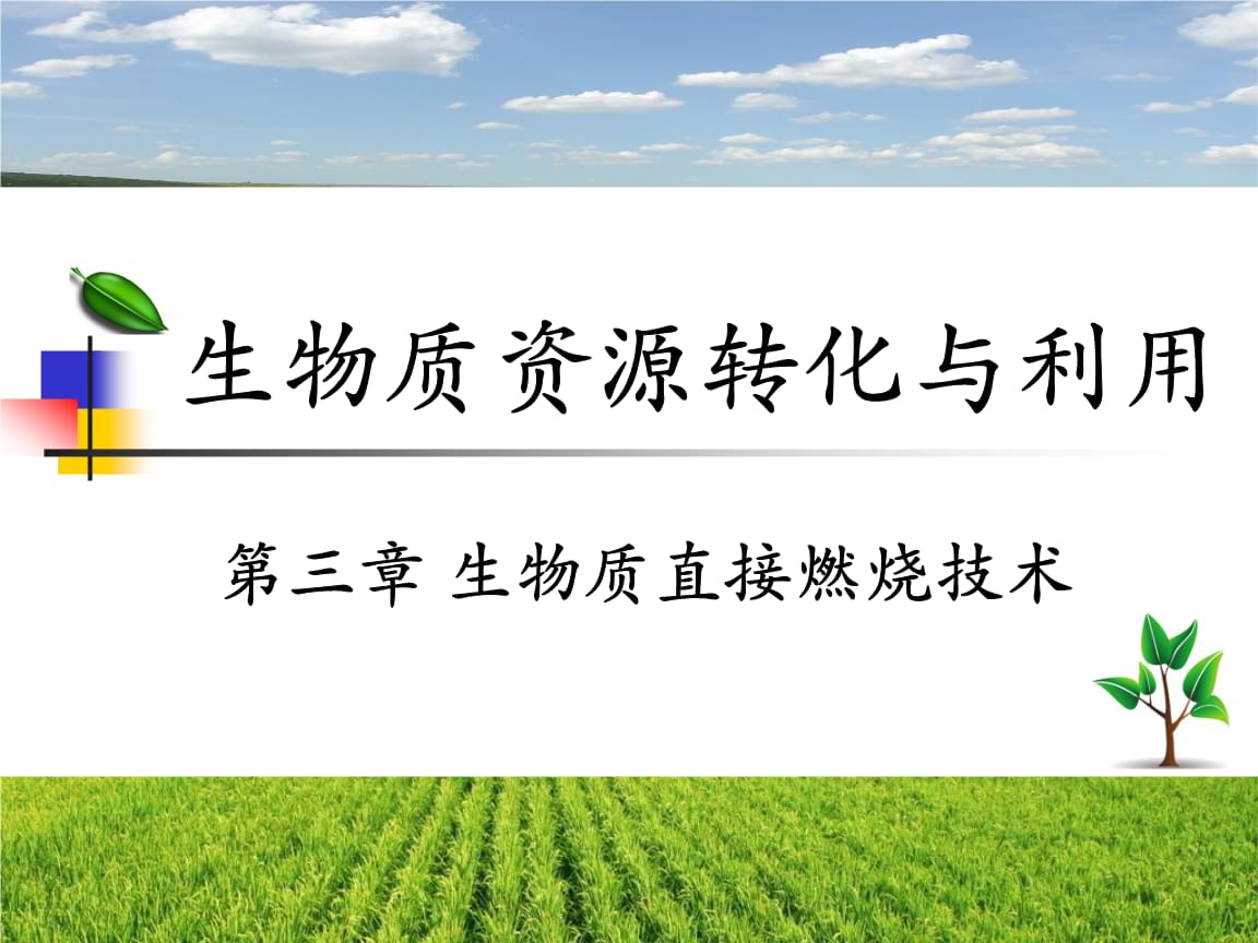 生物質資源的高效轉化與創新應用展望